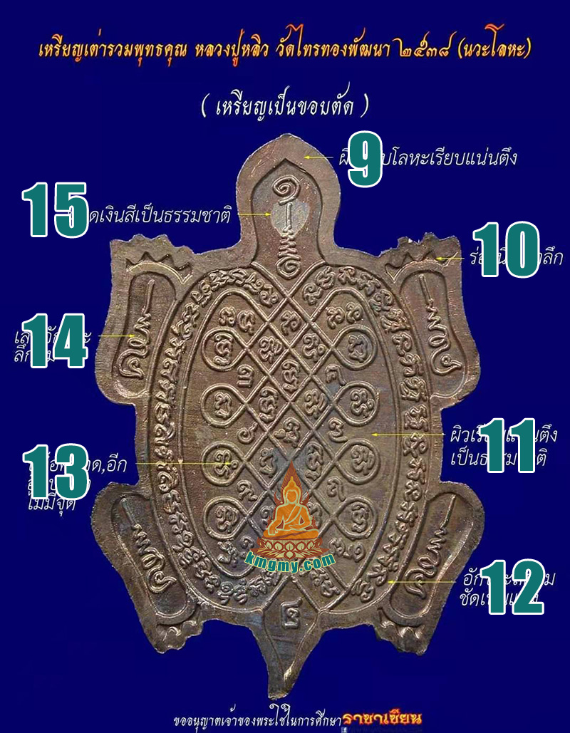 2538招财龟背面图鉴