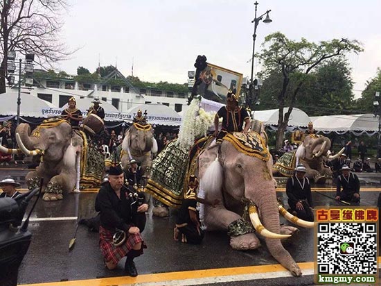 泰国大城府大象,皇家广场向普密蓬国王陛下致敬