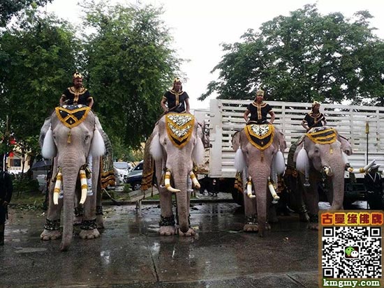 泰国大城府大象,皇家广场向普密蓬国王陛下致敬