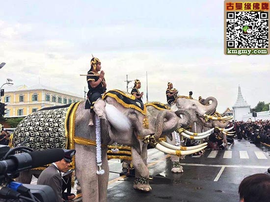 泰国大城府大象,皇家广场向普密蓬国王陛下致敬