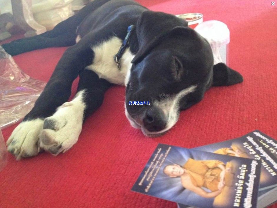 第一期行程跟踪