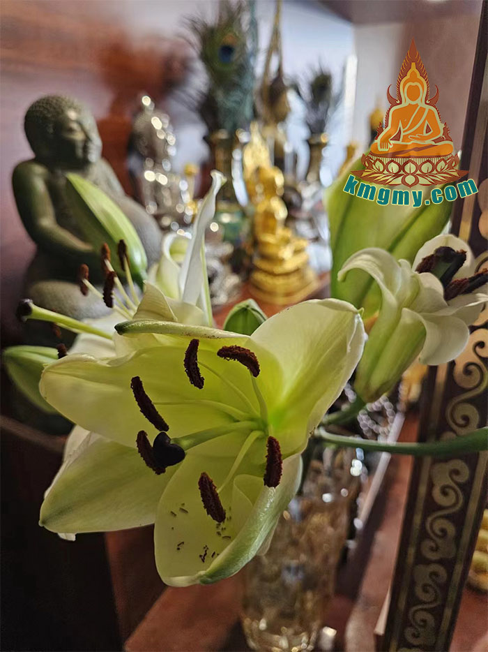 人缘可以分为这些，你知道吗？