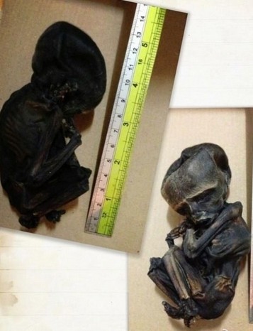 什么是路过古曼童/地童古曼/?