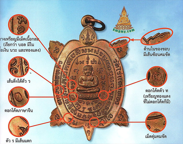 龙婆柳2537素斋招财龟图鉴