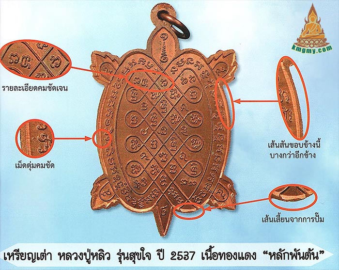 龙婆柳2537素斋招财龟图鉴