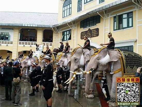泰国大城府大象，皇家广场向普密蓬国王陛下致敬